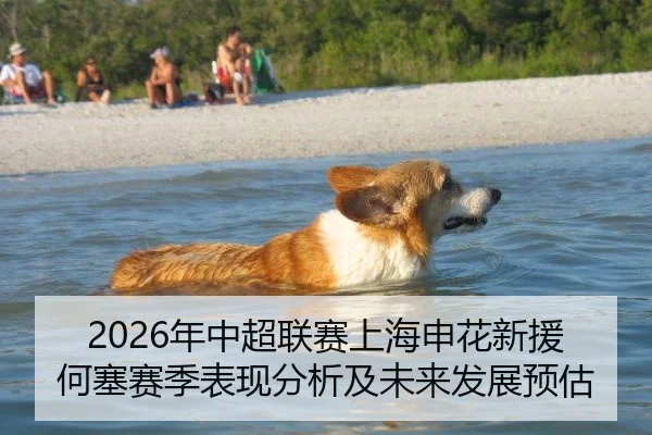 2026年中超联赛上海申花新援何塞赛季表现分析及未来发展预估