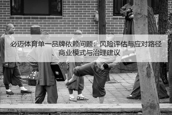必迈体育单一品牌依赖问题：风险评估与应对路径、商业模式与治理建议